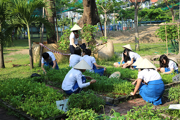 VUI HỌC CÙNG DỰ ÁN SINH “TRỒNG RAU SẠCH”