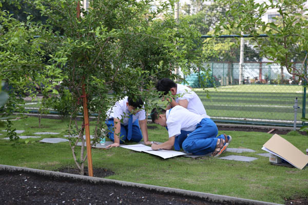 HỌC TOÁN TẠI VƯỜN TRƯỜNG