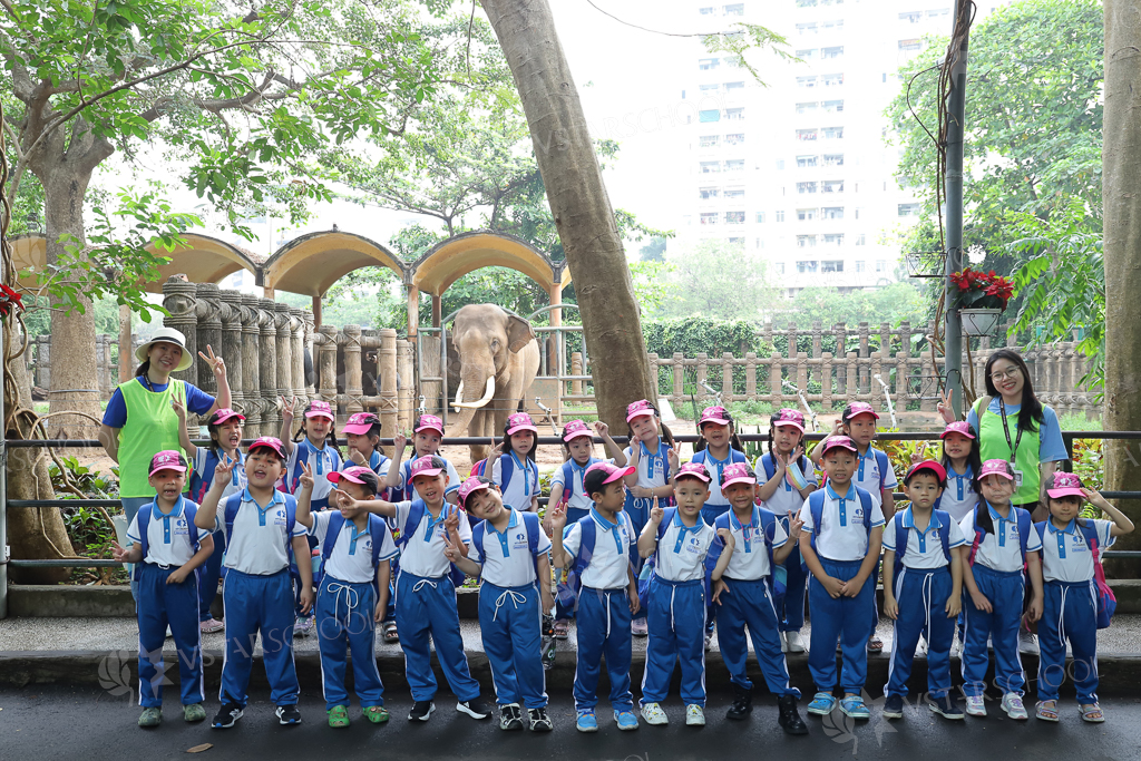 HỌC SINH VSTARSCHOOL KHÁM PHÁ THẢO CẦM VIÊN